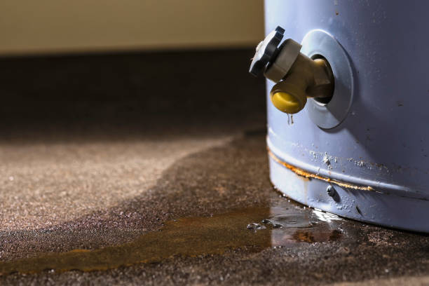 Best Flood restoration services  in North Lima, OH