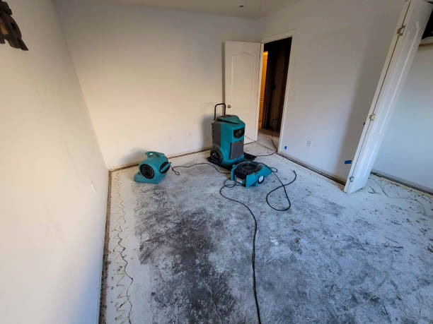Best Water damage restoration near me  in North Lima, OH
