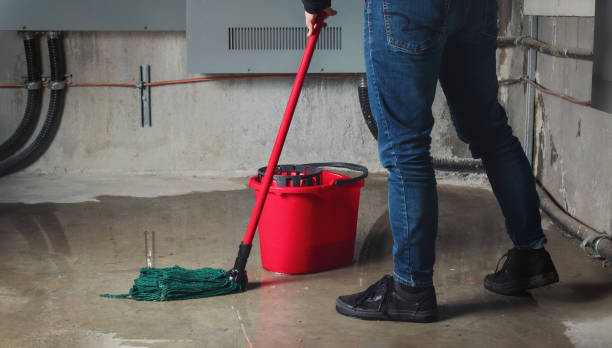 Best Flooded house restoration  in North Lima, OH