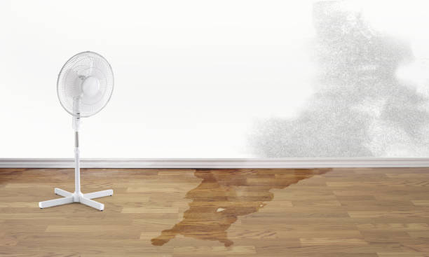 Best Commercial water damage restoration  in North Lima, OH