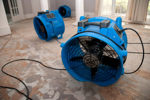Best Professional water damage repair  in North Lima, OH
