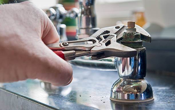 Best Water damage contractors near me  in North Lima, OH