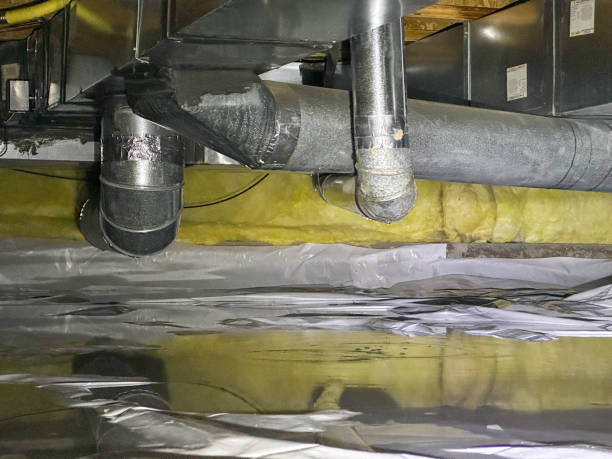 Best Sewage cleanup and water damage restoration  in North Lima, OH