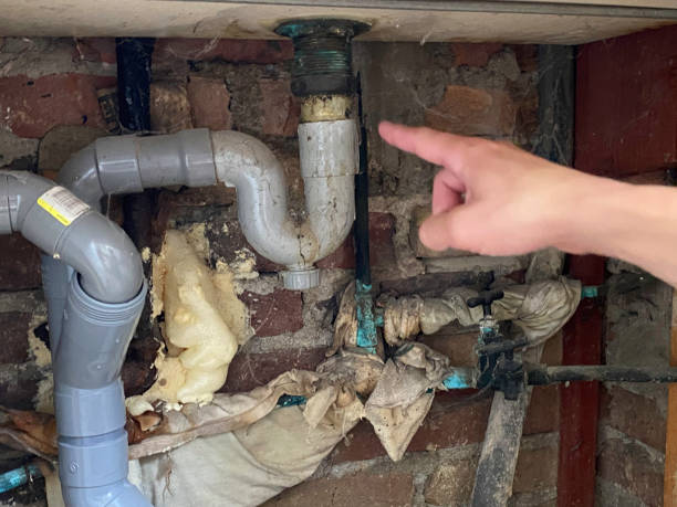 Best Local water damage restoration  in North Lima, OH