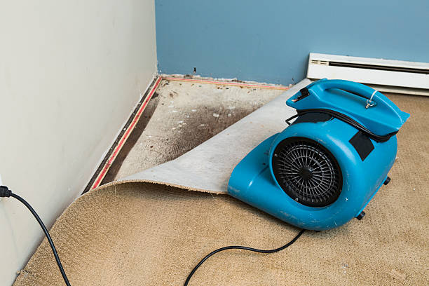 Reliable North Lima, OH Water damage restoration Solutions