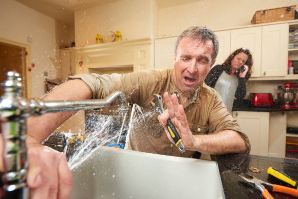 Best Water damage restoration specialists  in North Lima, OH
